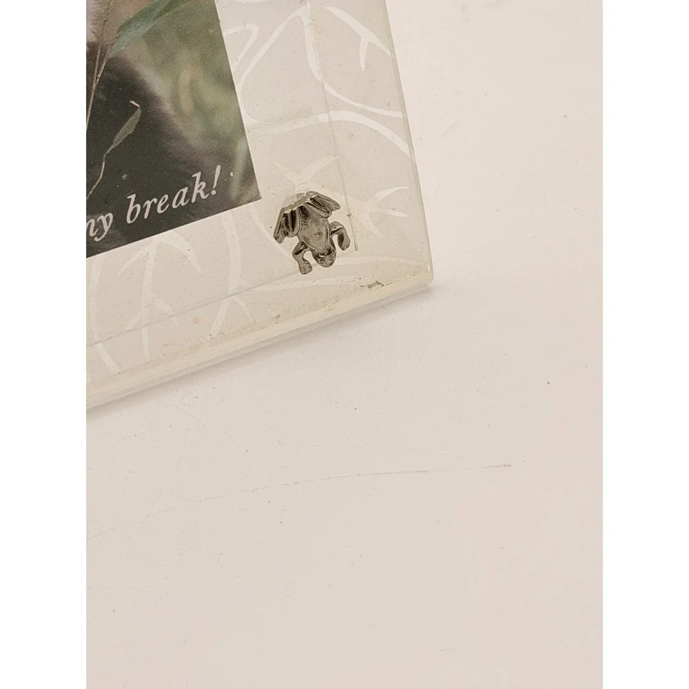 Frosted Acrylic Picture Frame with Metal Bug Accents Butterfly Bee Frog Panda